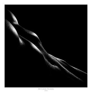 Fine Art Nude Photographer Vienna - Abstract Black And White Nude Of Muscular Woman