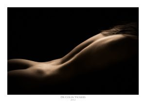 Fine Art Nude Photographer Vienna - Outline of Back of Nude Woman