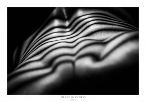 Fine Art Nude Photographer Vienna - Abstract Stripes On Nude Woman's Back