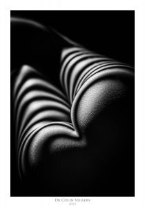 Fine Art Nude Photographer Vienna - Abstract Stripes On Nude Woman's Bum