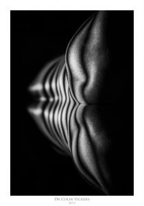 Fine Art Nude Photographer Vienna - Abstract Stripes On Nude Woman's Back