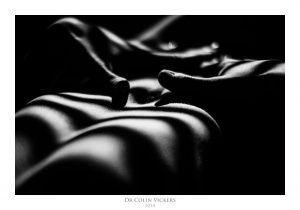 Fine Art Nude Photographer Vienna - Abstract Stripes On Nude Woman's Stomach