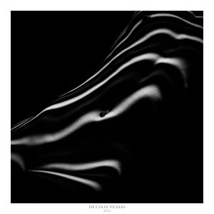 Fine Art Nude Photographer Vienna - Abstract Stripes On Nude Woman's Body