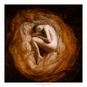Fine Art Nude Photographer Vienna - Artistic Nude Woman Surrounded by Fabric