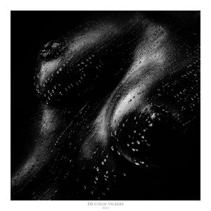 Fine Art Nude Photographer Vienna - Abstract Breasts Covered In Oil And Water