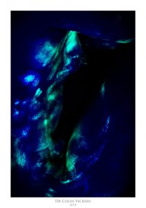 UV Studio Nudes