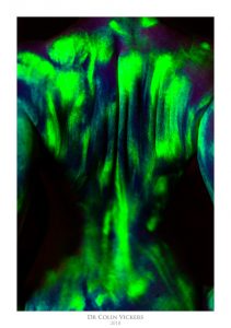 UV Studio Nudes