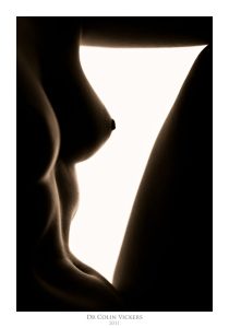 Fine Art Nude Photographer Vienna - Silhouette Abstract Nude Of Curvy Woman