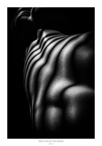 Fine Art Nude Photographer Vienna - Abstract Stripes On Nude Woman's Back