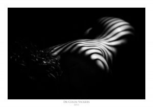 Fine Art Nude Photographer Vienna - Abstract Stripes On Nude Woman's Back