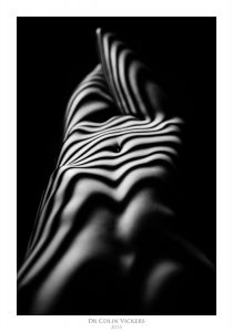 Fine Art Nude Photographer Vienna - Abstract Stripes On Nude Woman's Body