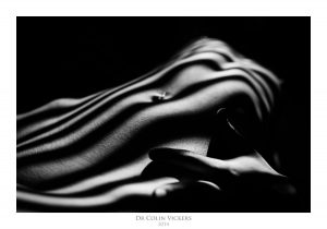 Fine Art Nude Photographer Vienna - Abstract Stripes On Nude Woman's Body