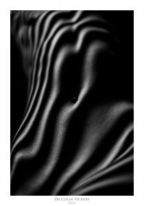Fine Art Nude Photographer Vienna - Abstract Stripes On Nude Woman's Stomach