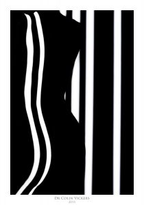 Fine Art Nude Photographer Vienna - Abstract Stripes On Model's Back