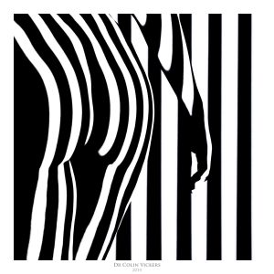 Fine Art Nude Photographer Vienna - Abstract Stripes On Model's Bum
