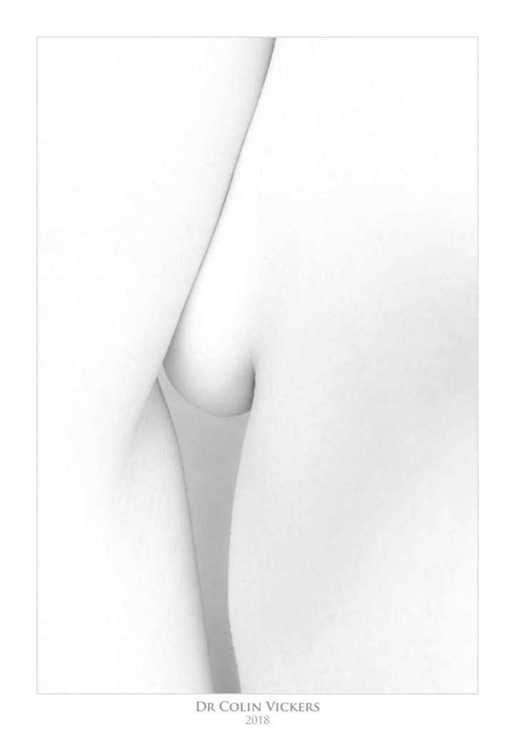 Abstract Nudes - Black and white abstract nude 3
