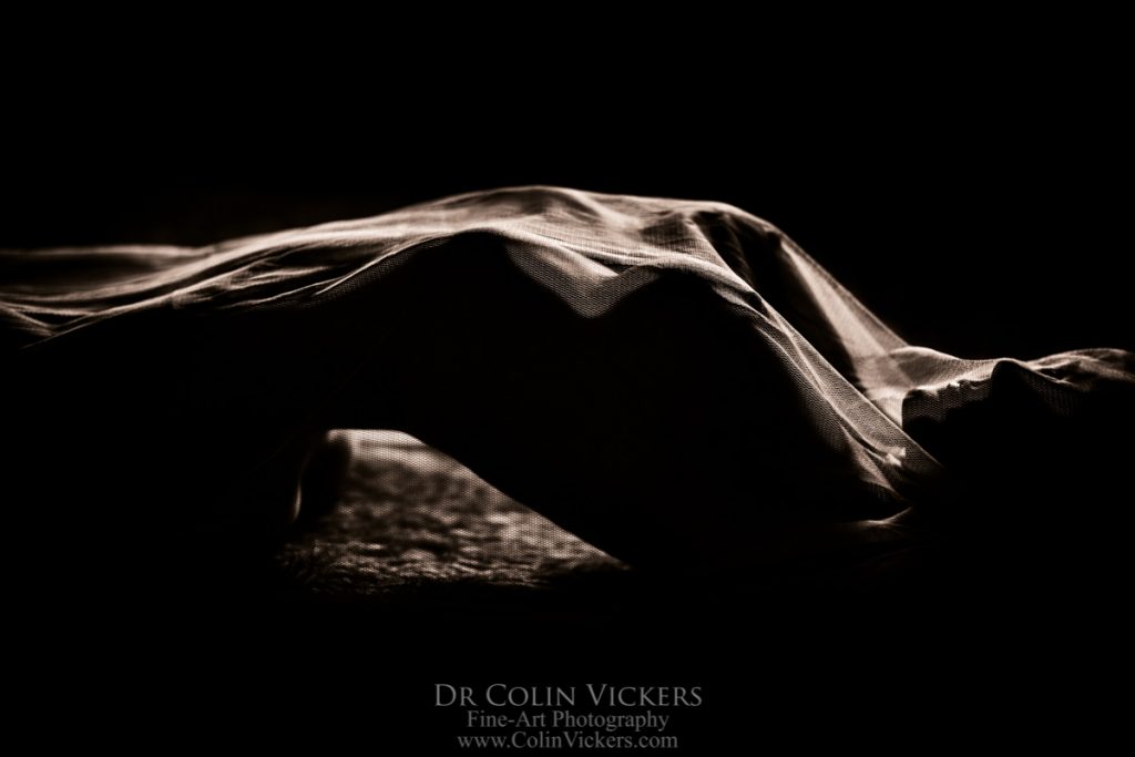 abstract nude art