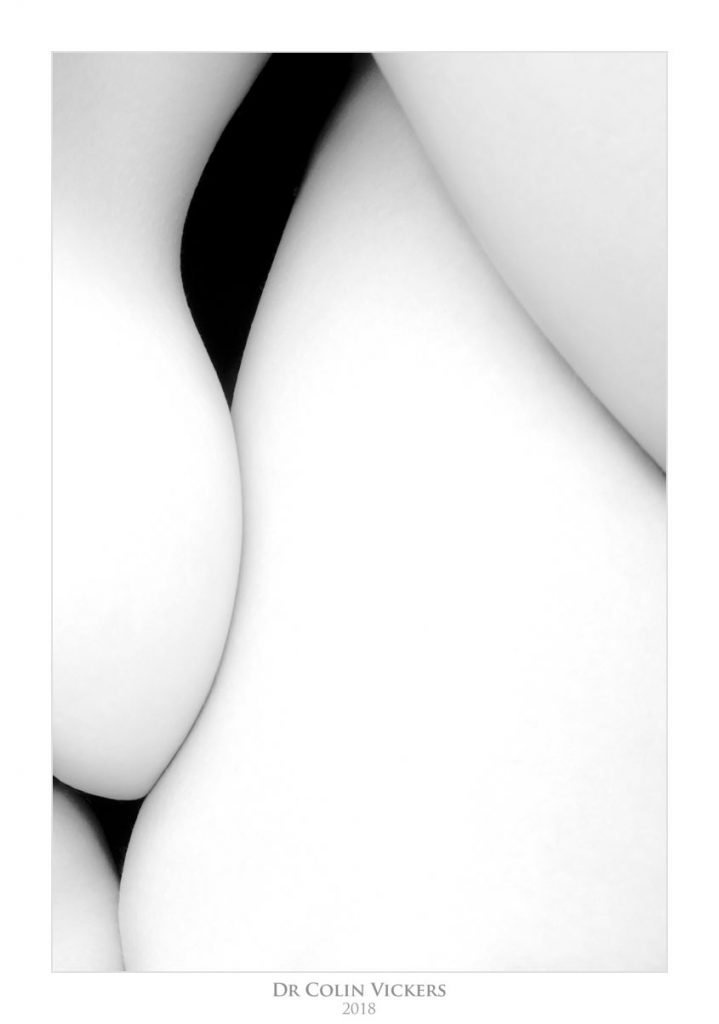 Abstract Nudes - Black and white abstract nude 1